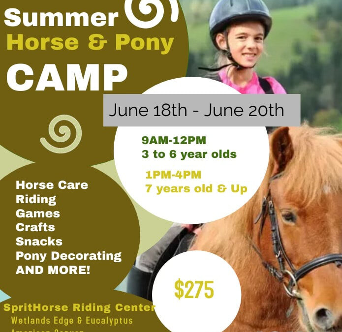 Seasonal Day Camps